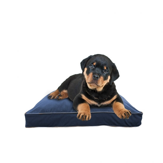 Doggybo Mini
